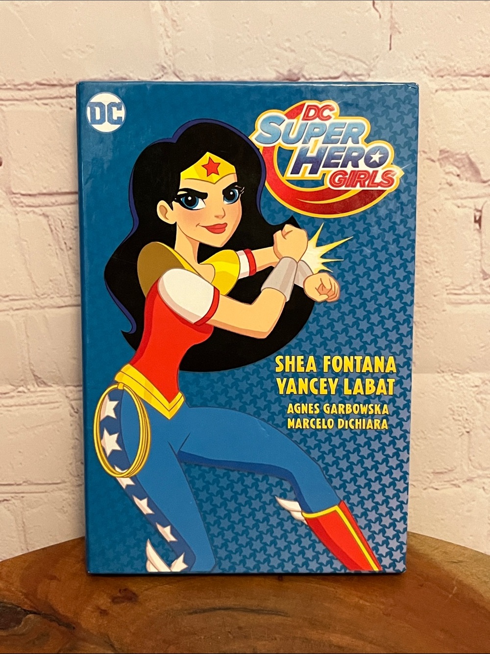 Super Hero Girls Graphic Novel Book Set